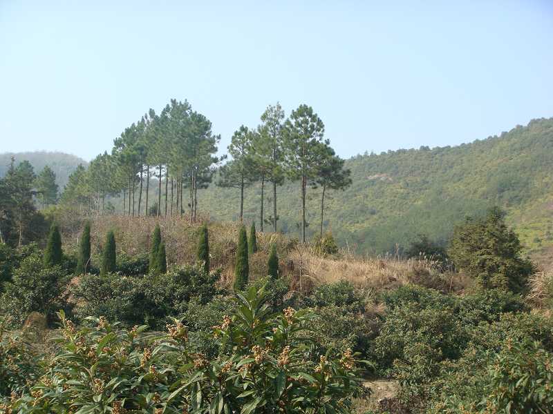 FILE0016.jpg