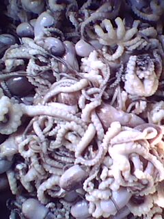 IMG0026A.jpg