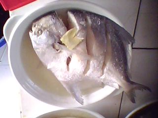 IMG0046A.jpg