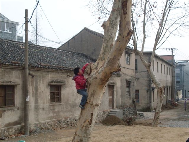 SDC12477（一个顽皮的小孩02）.JPG