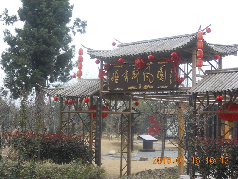 未命名46.jpg