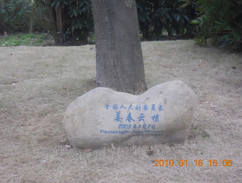 未命名44.jpg