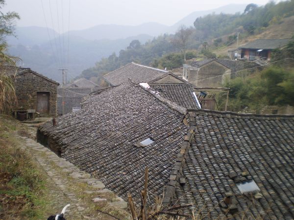 PC312140.JPG