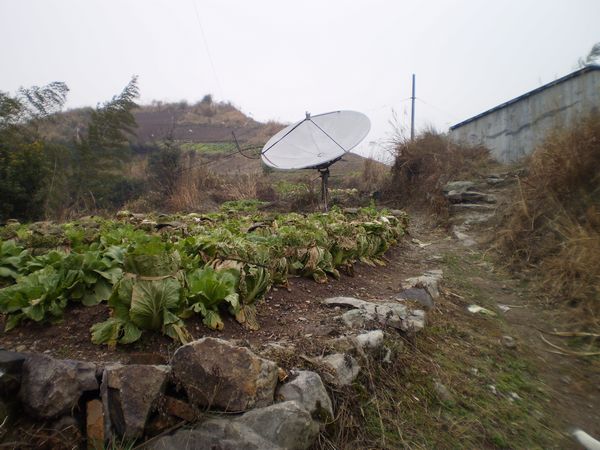 PC312145.JPG