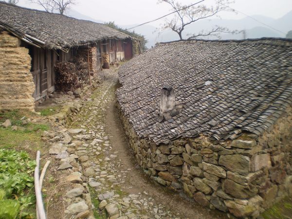 PC312152.JPG