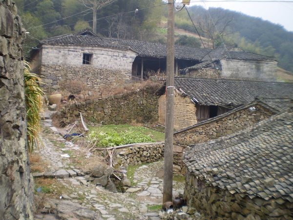 PC312151.JPG