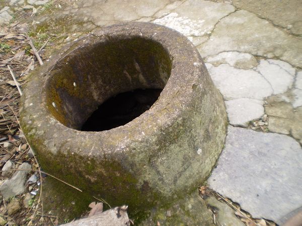 PC312154.JPG