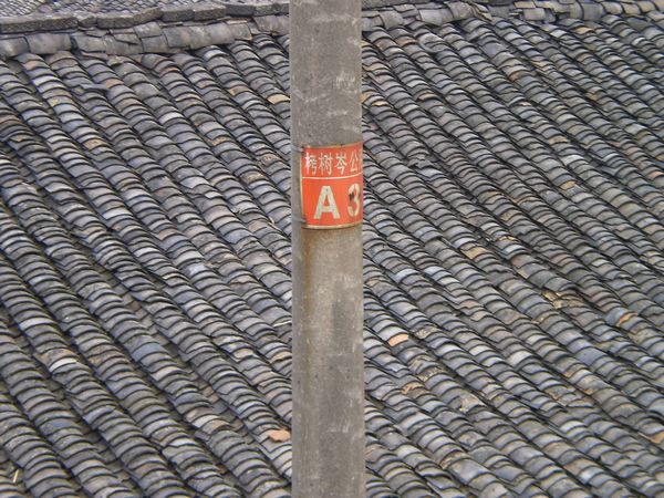 PC312173.JPG
