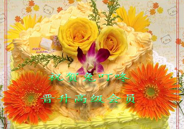祝  贺