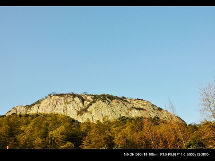 DSC_0038.JPG
