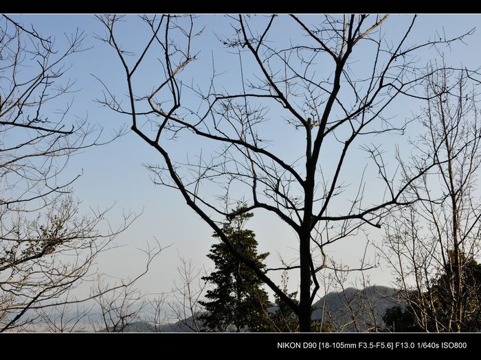 DSC_0018.JPG