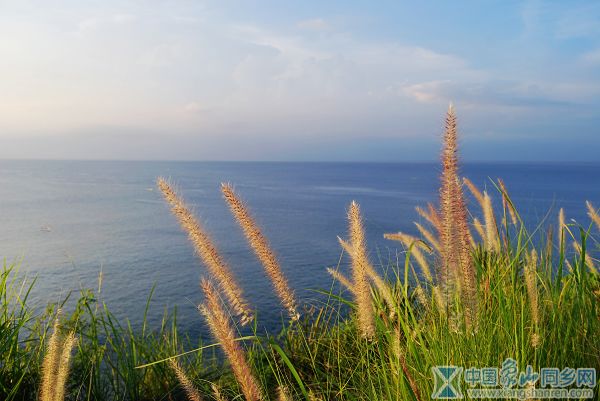 DSC_0225.jpg