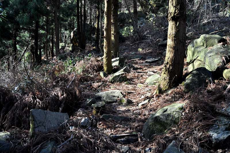 DSC_0074.jpg