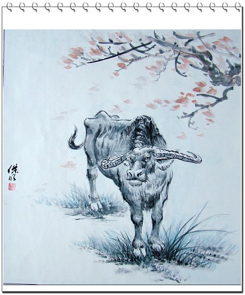 复件 DSCF0048.JPG