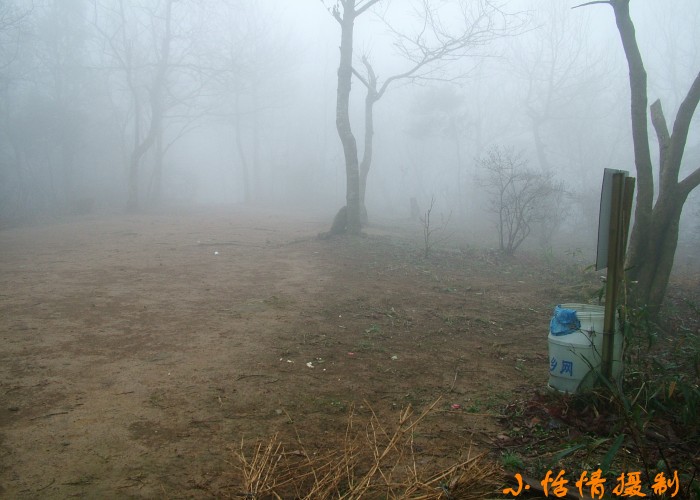 conew_dscf2393.jpg