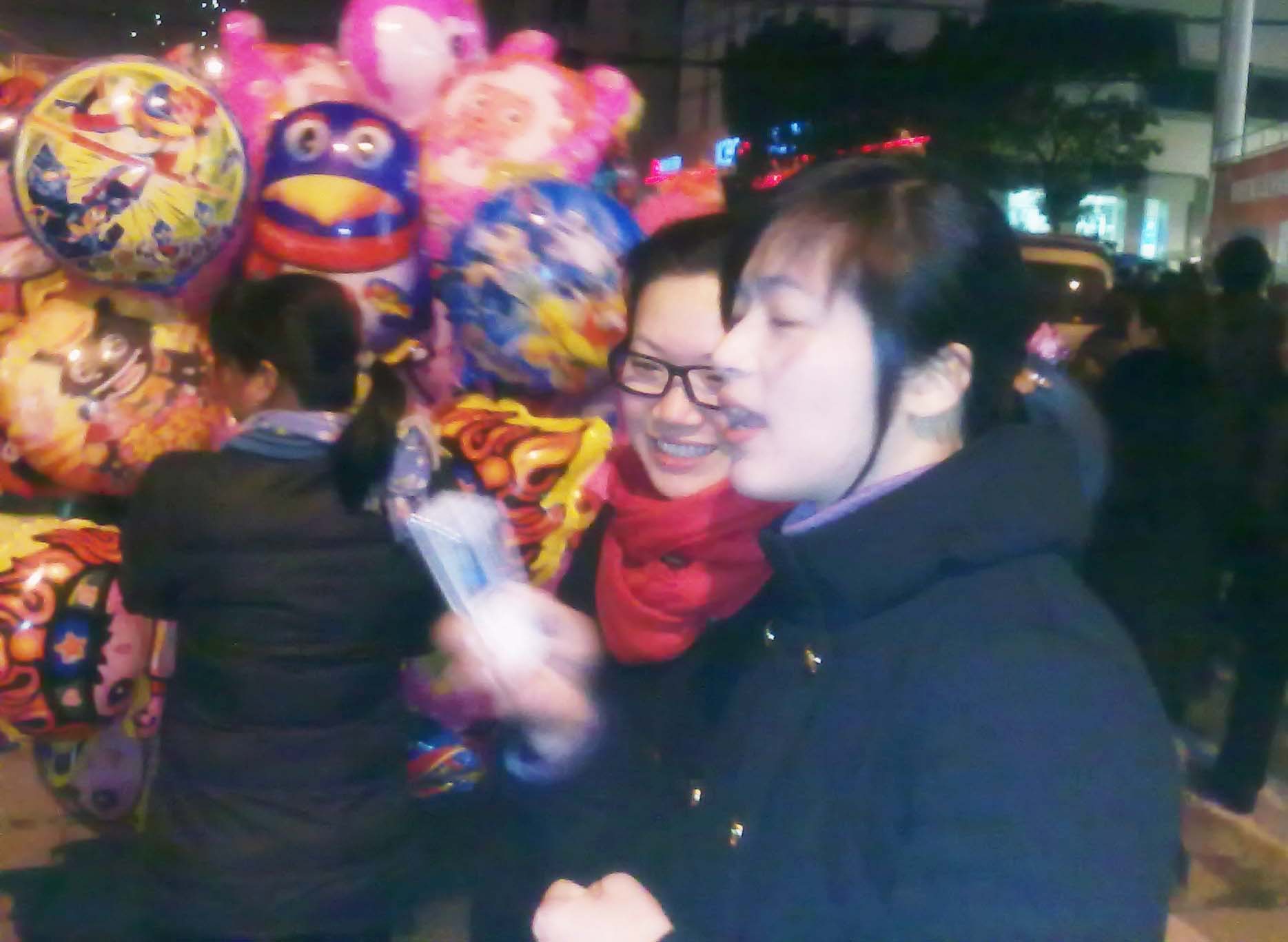 20100227077a.jpg