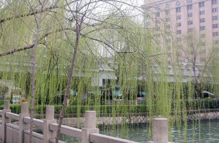贴沙河