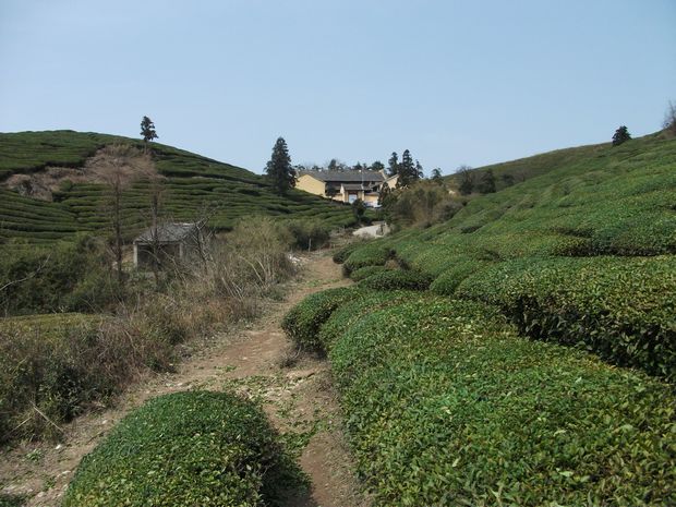 DSCF0125.JPG