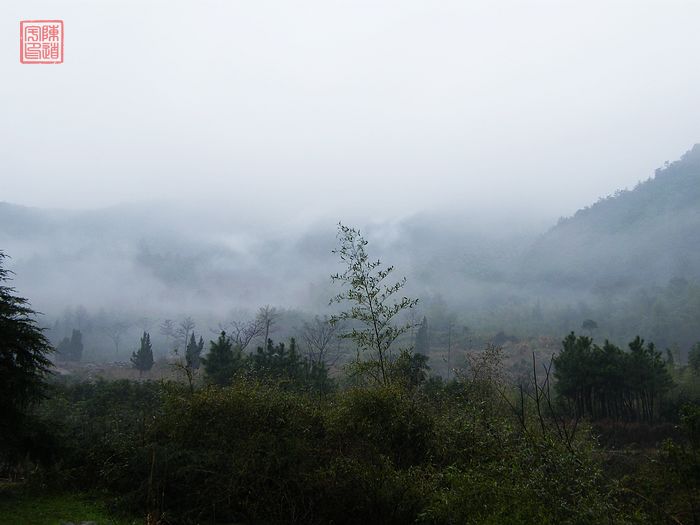 DSCF1048.jpg