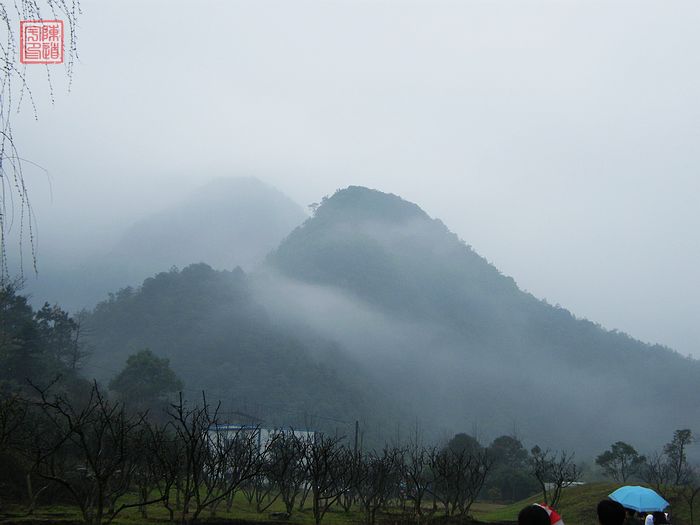 DSCF1047.jpg