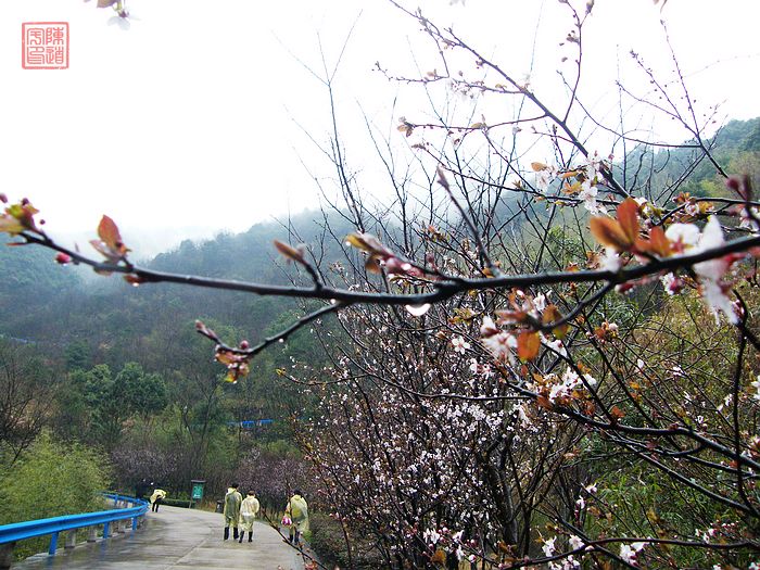 DSCF1068.jpg