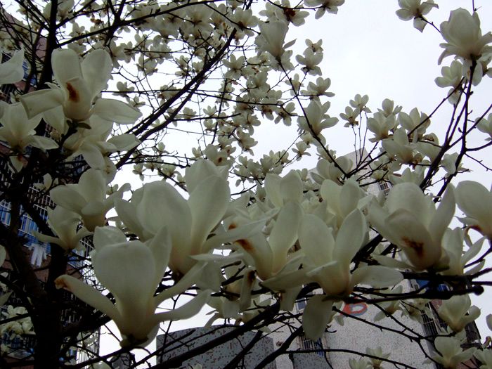 PICT0077.JPG