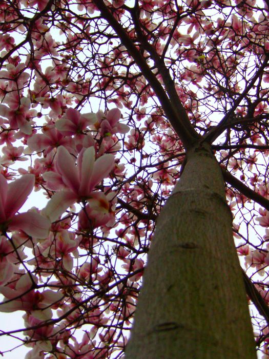 PICT0087_副本.jpg