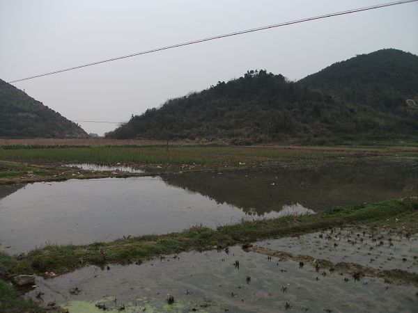 DSCF0243.JPG
