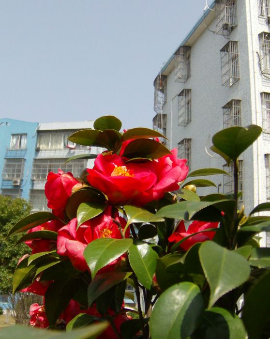 02.JPG