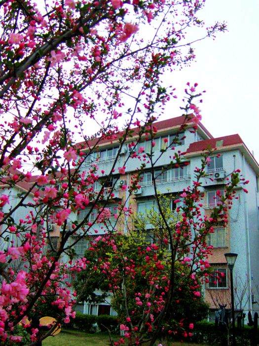 PICl035.JPG