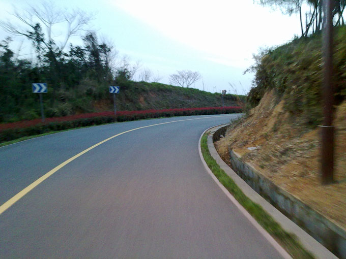 20100325074.jpg