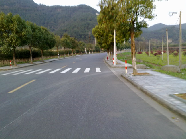 20100325045.jpg