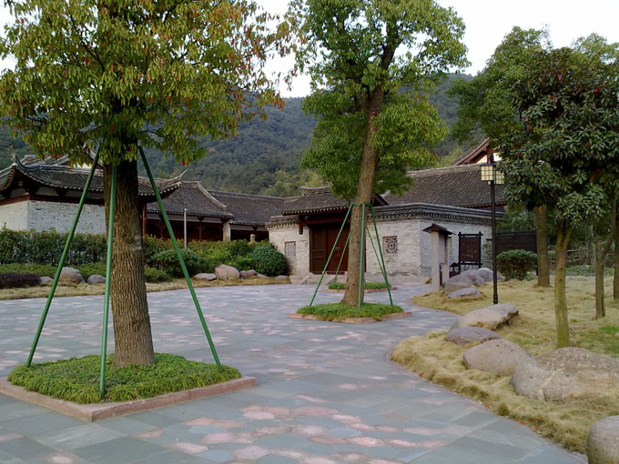20100325052.jpg