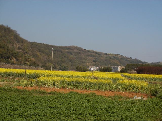 FILE0685.jpg