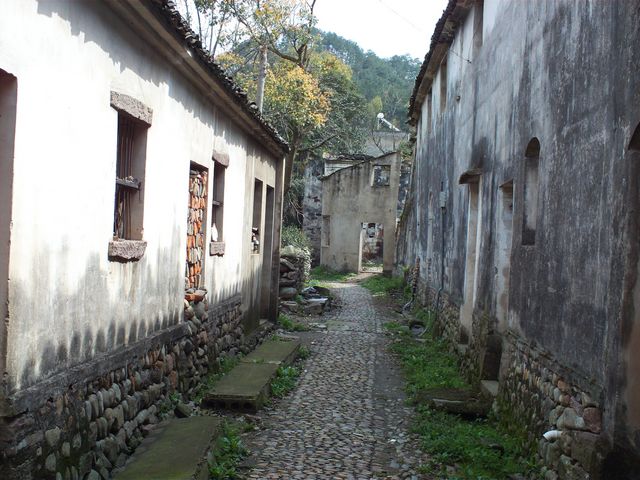 FILE0569.jpg