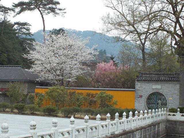 FILE0692.jpg