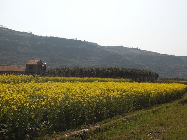 FILE0686.jpg