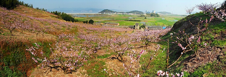 全景接片2.jpg