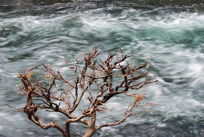 100410扫太子湾019.jpg