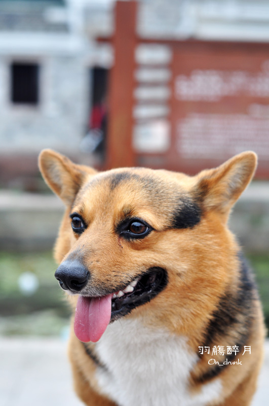 DSC_0397.jpg