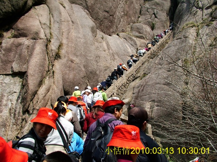 264自动排队.jpg