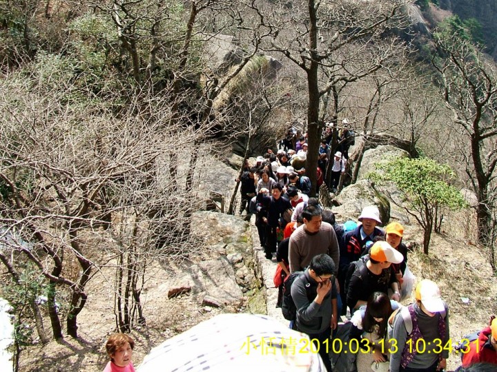 267又拍后面的.jpg