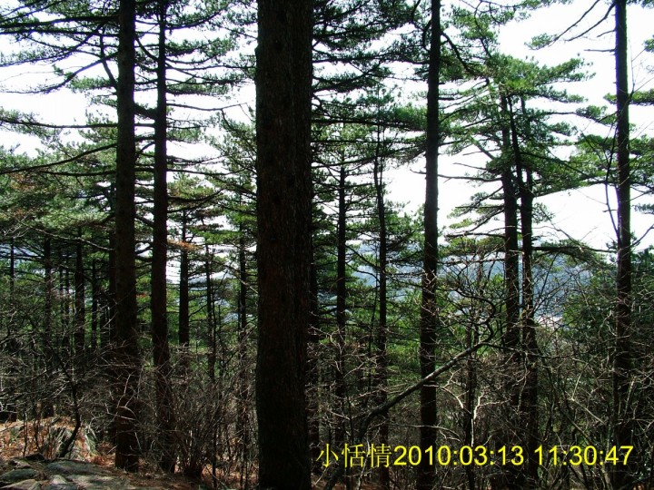 abbr_e051e49326d8f6fc821241c93e4d6617.jpg