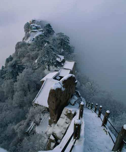 鲫鱼背