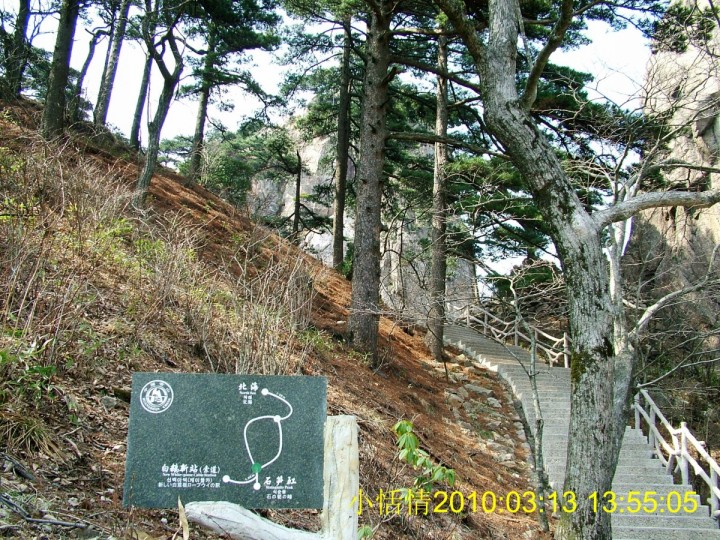 445从北海出来、现在要去白鹅岭索道新站、乘缆车下山！.jpg
