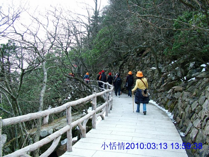 457沿路风景.jpg