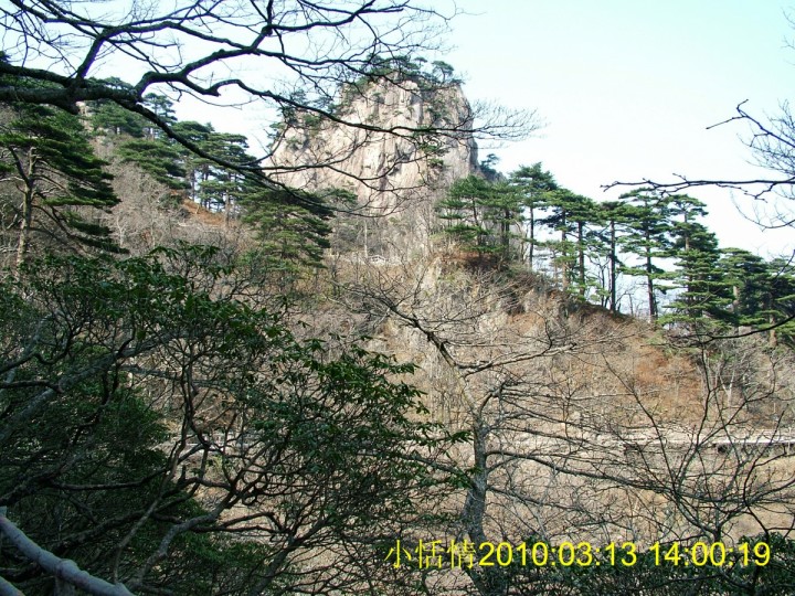 459回头观望.jpg
