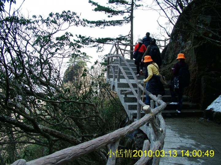 461沿路风景.jpg