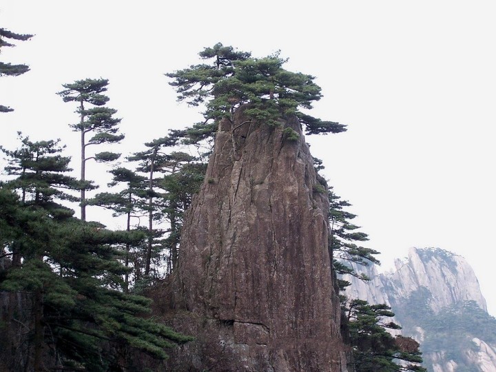 523黄山风景区云谷景区风光2.jpg