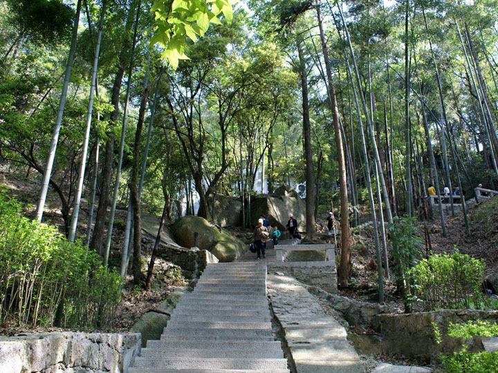 08前山竹林石径、也就是南坡上山！.jpg